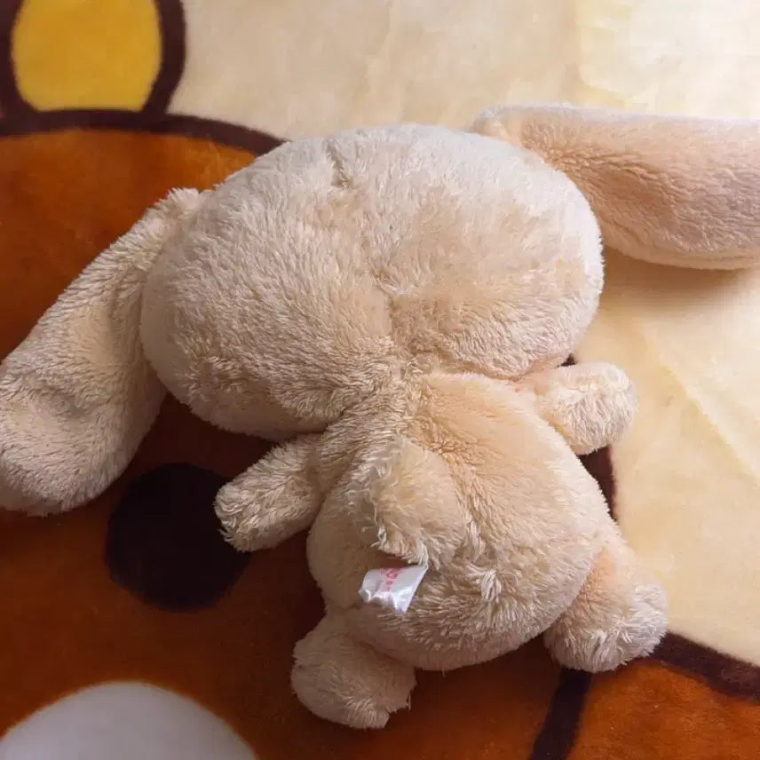 [BUNJANG] Cinnamoroll Cappuccino Plush / 시나모롤 카푸치노 인형 (택x)