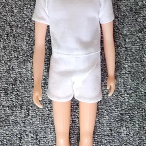[BUNJANG] Rika Castle Jenny Boyfriend Rayfu Doll / 리카캐슬 제니 남자친구 레이후