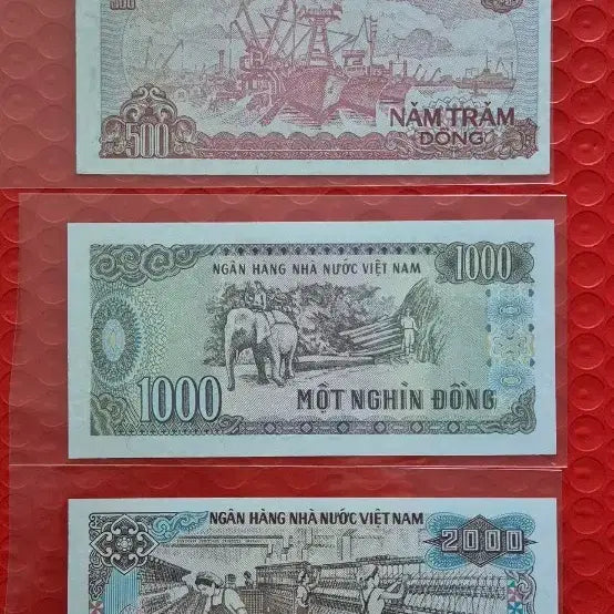 [BUNJANG] Vietnam Currency Set 500 / 1000 / 2000 Dong Notes / 베트남 화폐 500 / 1000 / 2000 동