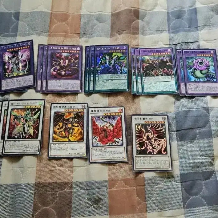 [BUNJANG] Yu-Gi-Oh! Predaplant Deck / 유희왕 프레데터 프랜츠 덱 판매합니다