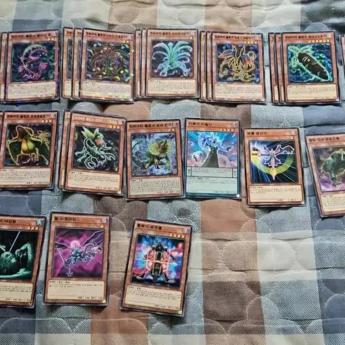[BUNJANG] Yu-Gi-Oh! Predaplant Deck / 유희왕 프레데터 프랜츠 덱 판매합니다