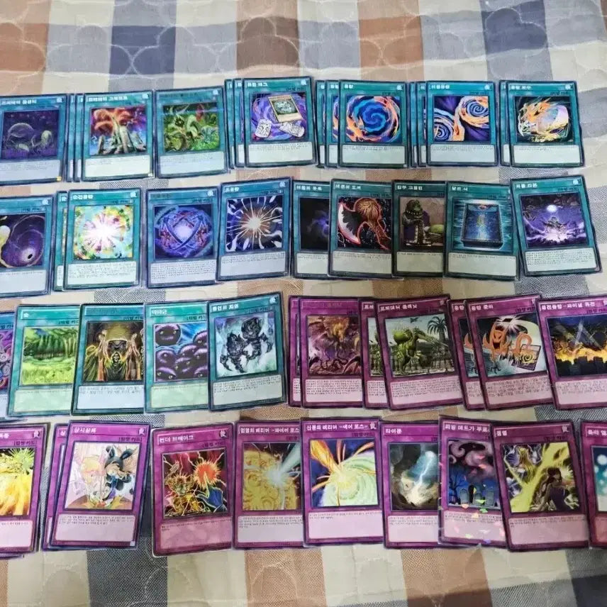 [BUNJANG] Yu-Gi-Oh! Predaplant Deck / 유희왕 프레데터 프랜츠 덱 판매합니다