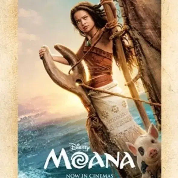 [BUNJANG] Moana Signature Set (3 Types) &amp; Poster Set (8 Types) / 모아나 시그니처3종,포스터8종 세트 판매