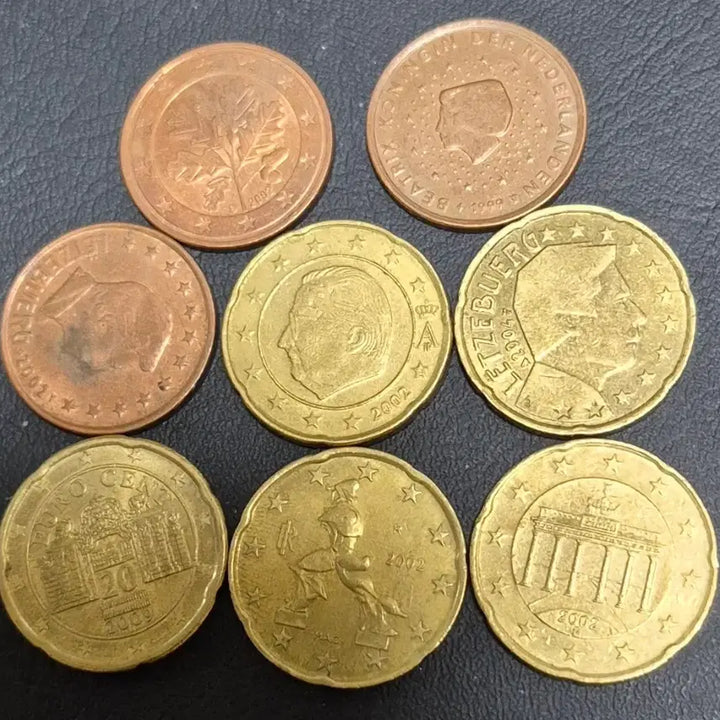 [BUNJANG] Euro 20 Cent &amp; 5 Cent Coin Set (2002-2009) - 8 Early Year Coins / 유로 20센트5센트 주화. 줄세우기8점. 초년도