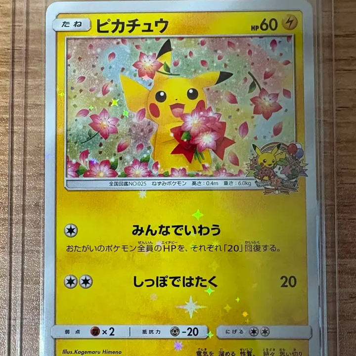 [BUNJANG] Pokemon Card Sakura Chu / 포켓몬카드 벚꽃츄 판매합니다