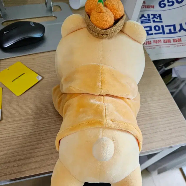 [BUNJANG] Kakao Friends Authentic Ryan Plush Doll / 카카오프렌즈 라이언인형 정품