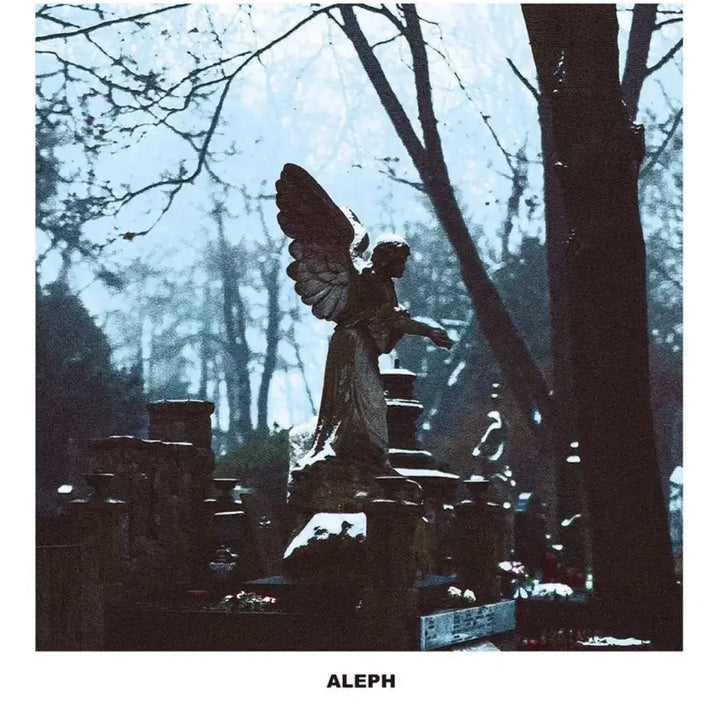 [BUNJANG] Aleph Renaissance + Requiem (2nd) LP / 알레프 르네상스+레퀴엠 (2nd) lp