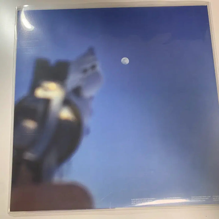 [BUNJANG] Geese Getting Killed LP Clear Vinyl / Geese - Getting Killed LP