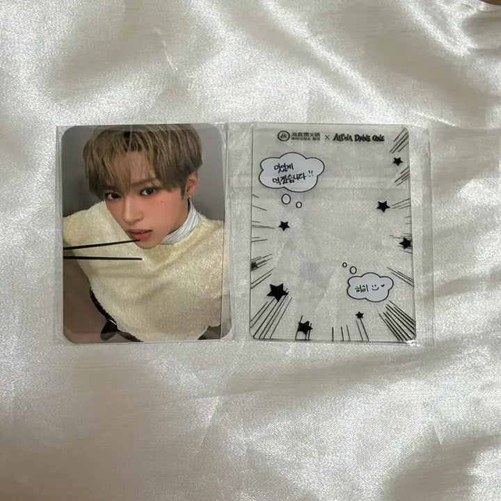 [BUNJANG] Haidilao Ardiwon Alphadriveone Arno Photocard + Sleeve / 하이디라오 알디원 알파드라이브원 아르노 포토카드+슬리브