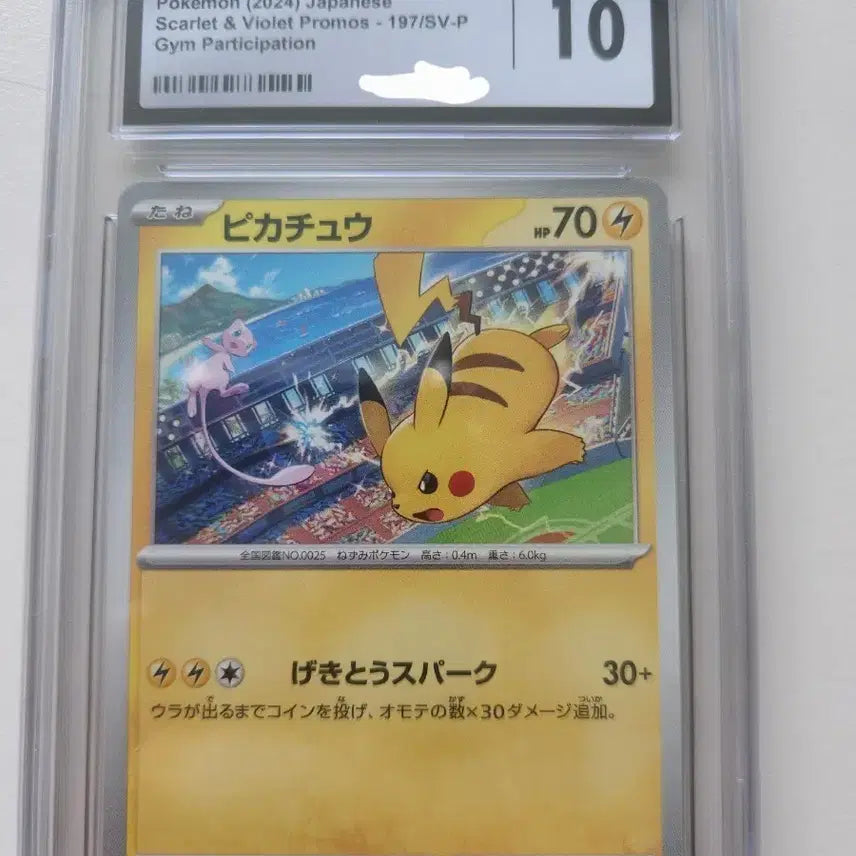 [BUNJANG] Pikachu Gym Promo Mew CGC 10 Grade / 피카츄 짐 프로모 뮤 10등급 cgc brg psa bgs