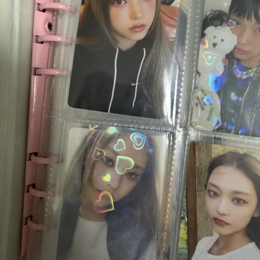 [BUNJANG] Cute Dog Fur Binder / 귀여운 강아지 털바인더 판매