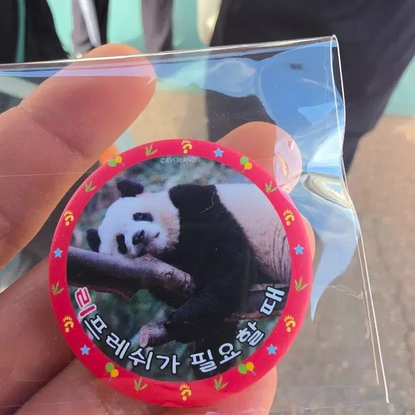 [BUNJANG] Everland Ai Bao Cafe Pin Badge Day 2 / 에버랜드 아이바오 카페 핀뱃지 2일차