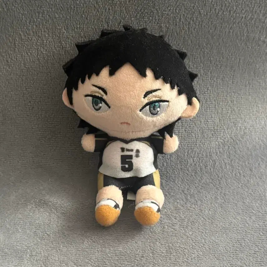 [BUNJANG] Haikyuu!! Ichiban Kuji Akaashi Plush Doll (F Prize) / 하이큐 이치방쿠지 제일복권 아카아시 누이 인형 F상