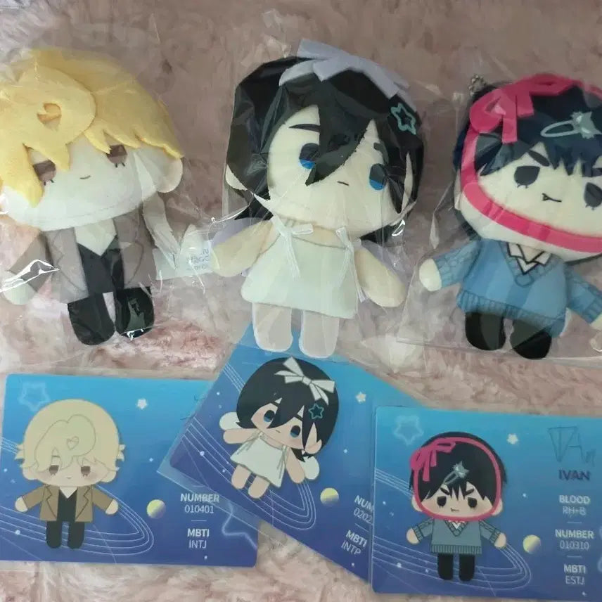 [BUNJANG] A-Stage Nui Bundle Set / 에이스테 누이 일괄