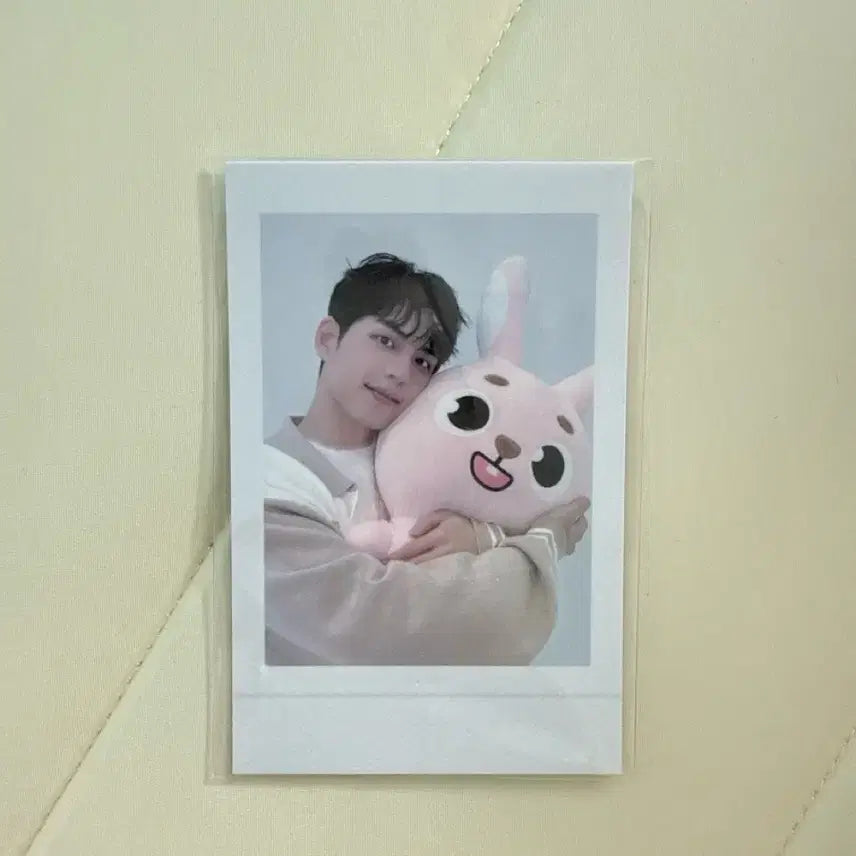 [BUNJANG] Day6 Giant Denimals Pili Doll Bundle Set (Polaroid Included) / 데이식스 자이언트 데니멀즈 필 양도 (폴라 포함)