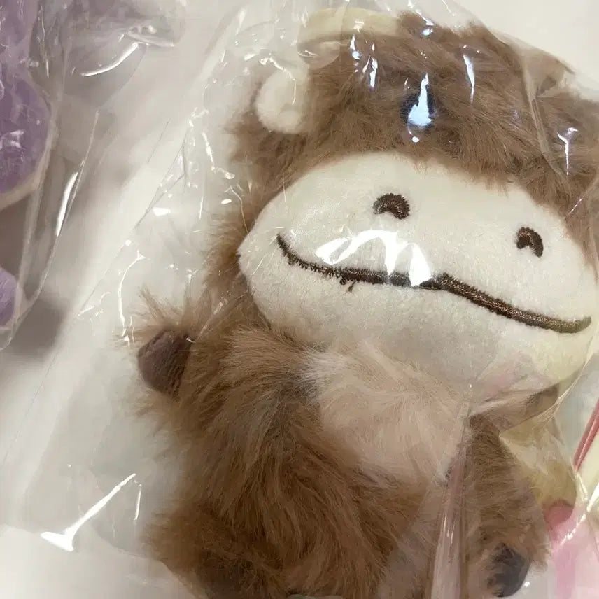 [BUNJANG] N.Flying Hope and Yoo Hweseung Hari Doll Keychain Set / 엔플라잉 소망이 인형 키링 유회승 하루의 마무리 회승