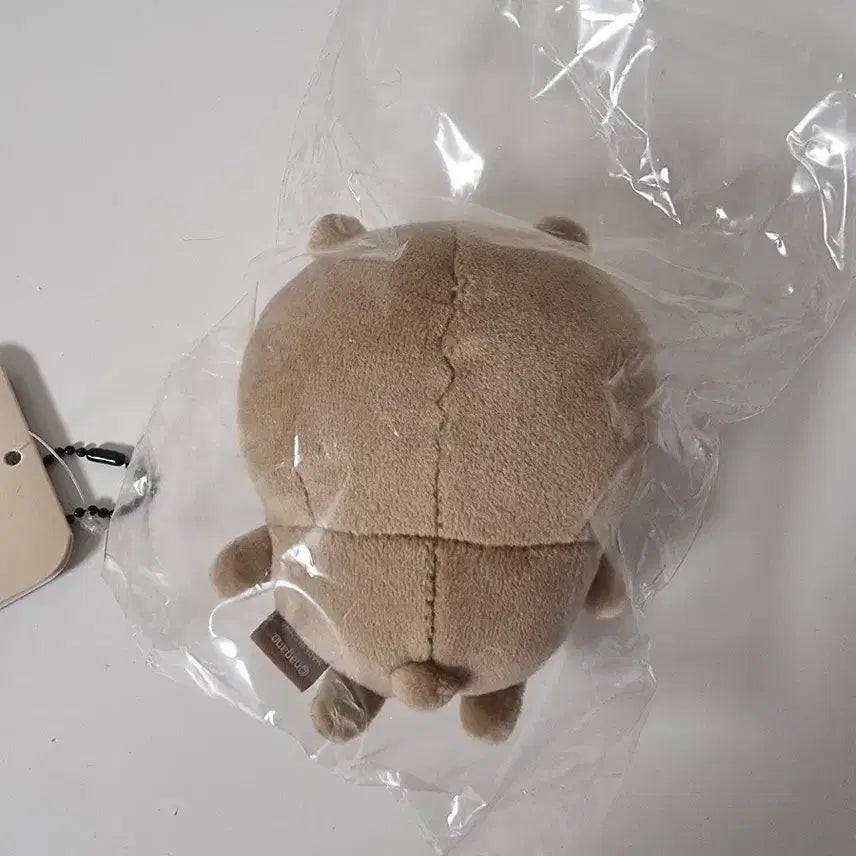 [BUNJANG] Tanddamgom Mascot (Unsealed) / 탄담곰 태닝담곰 태닝곰 농담곰 담곰이 마스코트 개봉