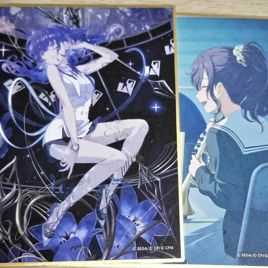 [BUNJANG] Project Sekai Asahina Mafuyu World Link Art Board / 프세카 색지 아사히나 마후유 월드링크 월링 프로세카 니고