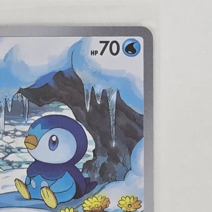 [BUNJANG] Pokemon Card Piplup AR / 포켓몬 카드 팽도리 AR