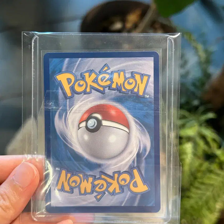[BUNJANG] Pokemon Card Piplup AR / 포켓몬카드 팽도리 ar s급