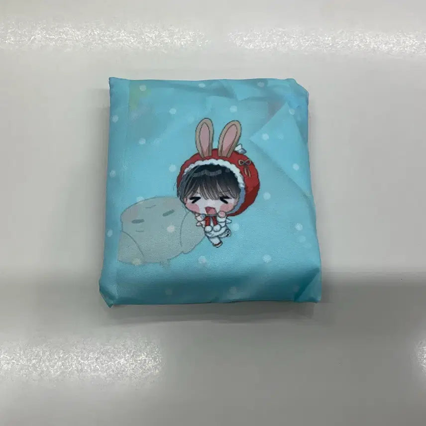 [BUNJANG] NCT WISH Jaehee Daeyoung Bakuback Bag / 엔시티위시 재희 대영 생카 바쿠백
