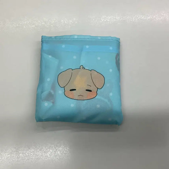 [BUNJANG] NCT WISH Jaehee Daeyoung Bakuback Bag / 엔시티위시 재희 대영 생카 바쿠백
