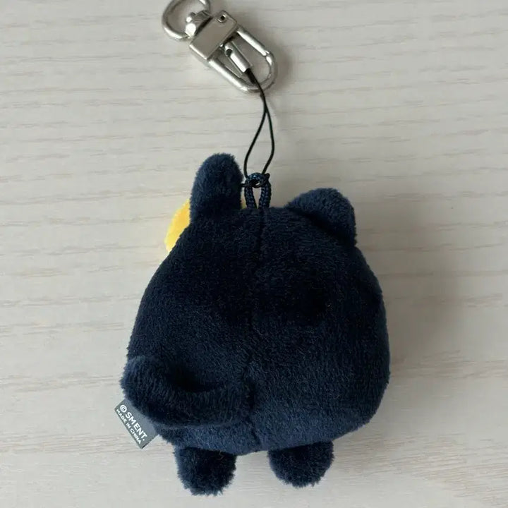 [BUNJANG] RIIZE Toy Cat Doll / 라이즈 토냥덕 인형