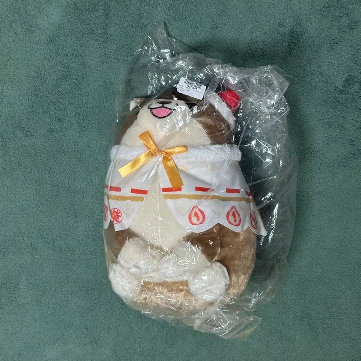[BUNJANG] Mochishiba Monaka Birthday Commemorative Doll / [초특가] 모찌시바 모나카 생일축하기념 인형판매 일본정품