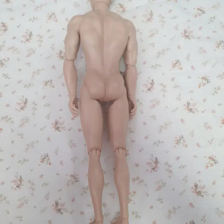 [BUNJANG] Popipoker Silkstone Ken Mannequin Doll Jointed Doll / 포피파커 실크스톤 남자인형 켄 남자 남성 바비인형 관절인형 저가형 옴므