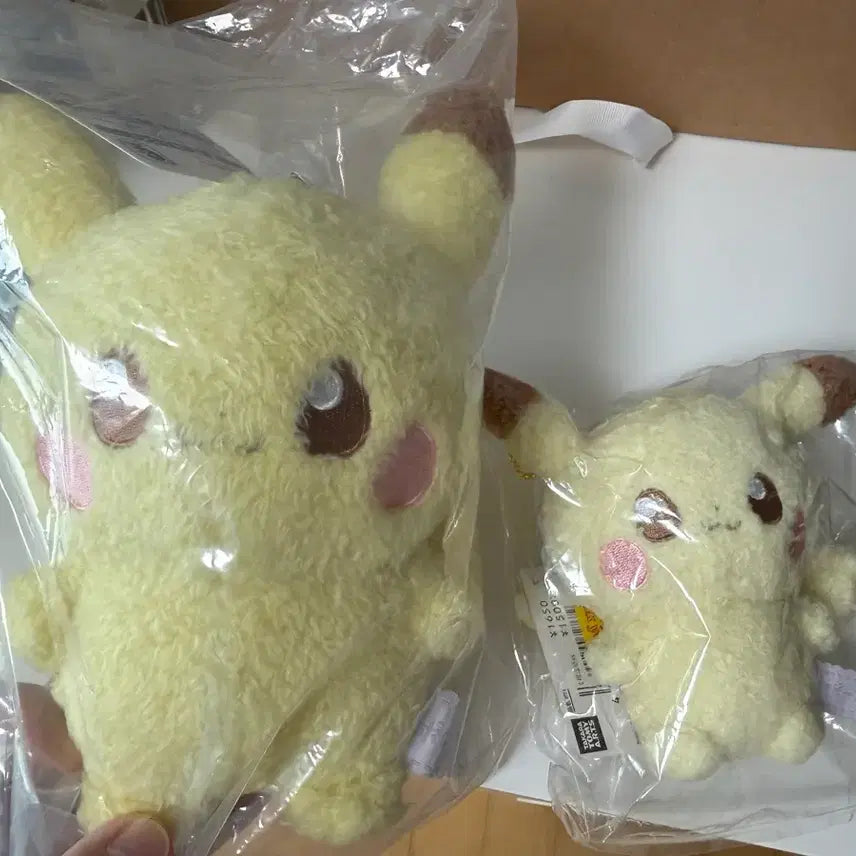 [BUNJANG] Pokemon Pocket Peace Pikachu Plush Keychain Bundle / 포켓몬스터 포켓피스 피카츄 인형 새상품 키링 일괄