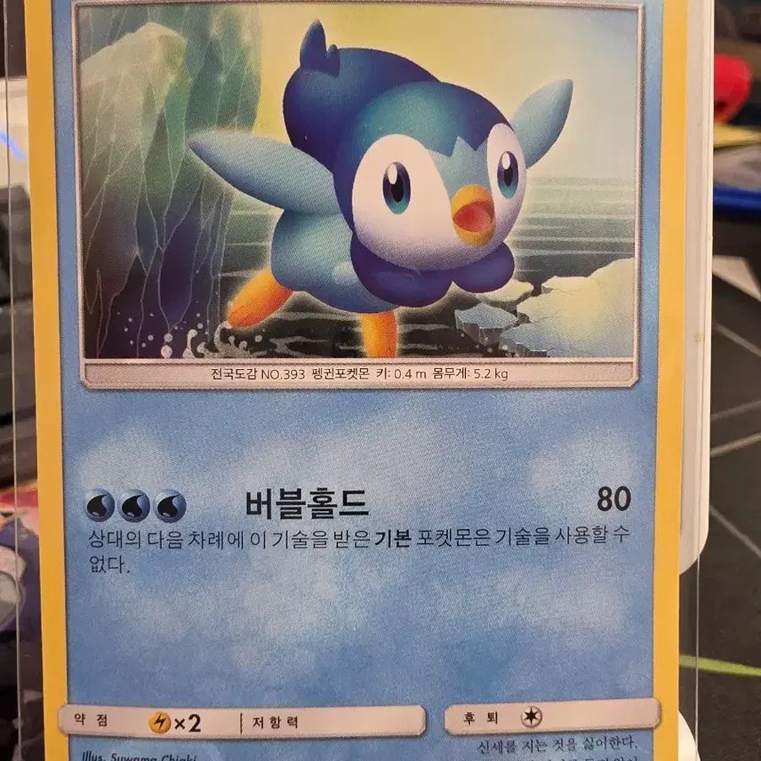 [BUNJANG] Pokemon Card Piplup Basic 009/049 / 포켓몬카드 팽도리 기본 009/049