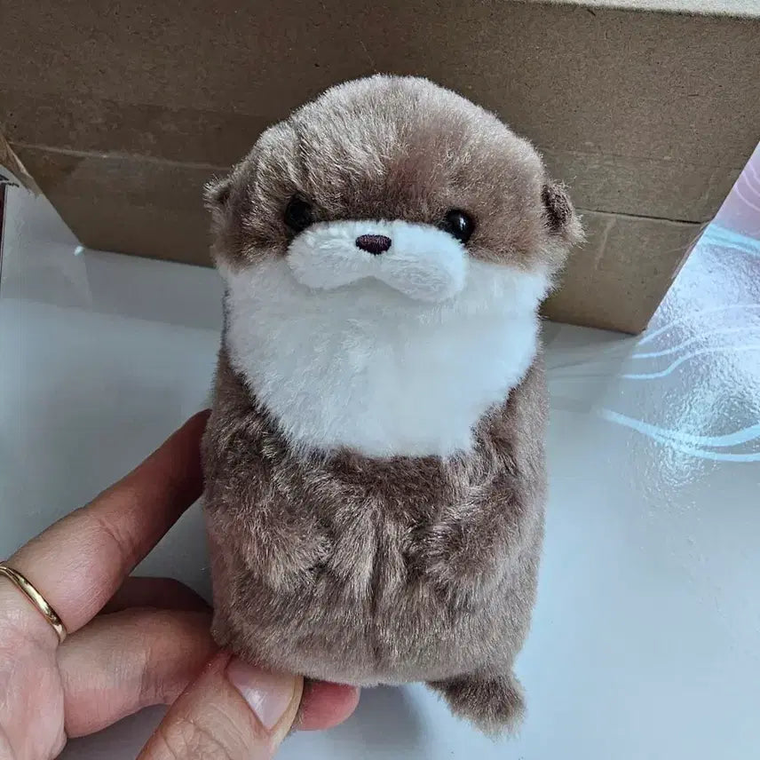 [BUNJANG] Amuse Sea Otter Plush Charm (Brown, 11cm) / 어뮤즈 해달 수달 인형 브라운 11cm 키링 브라운 / 소소happy
