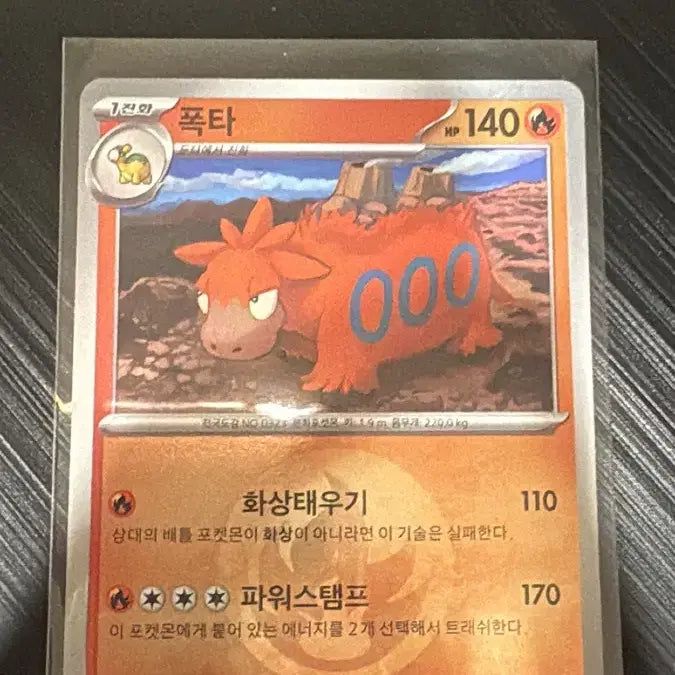 [BUNJANG] Pokemon TCG Numel Energy Holo Card / 포켓몬카드 폭타 에너지 홀로