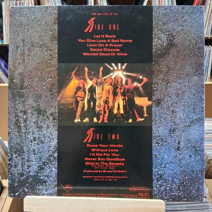 [BUNJANG] Bon Jovi Hit Songs LP (Mint Condition) / 히트곡 많은 민트급 본 조비 LP