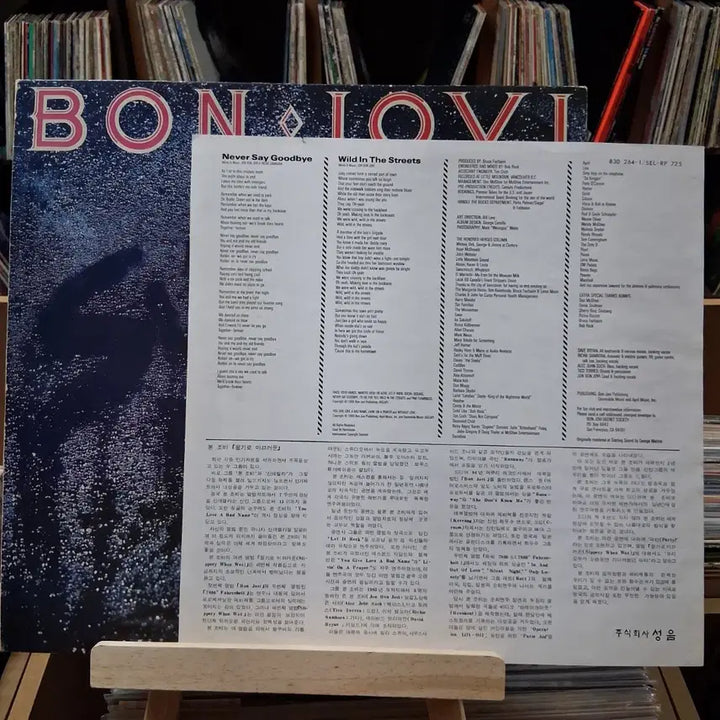 [BUNJANG] Bon Jovi Hit Songs LP (Mint Condition) / 히트곡 많은 민트급 본 조비 LP