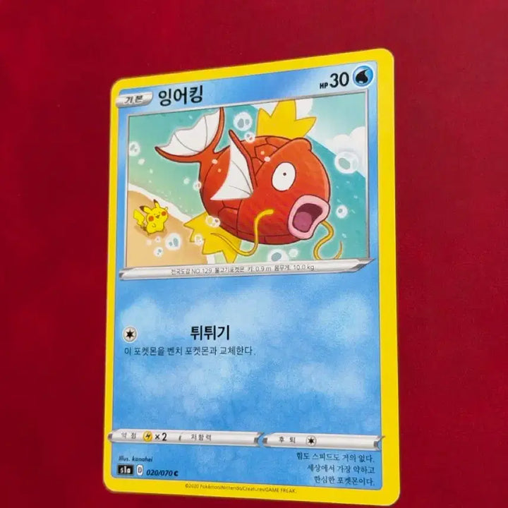 [BUNJANG] Kanahei Magikarp (Pikachu) Misaligned Vintage Pokemon Card / 귀여운 포켓몬 고전 카드 카나헤이 잉어킹(피카츄) 쏠림