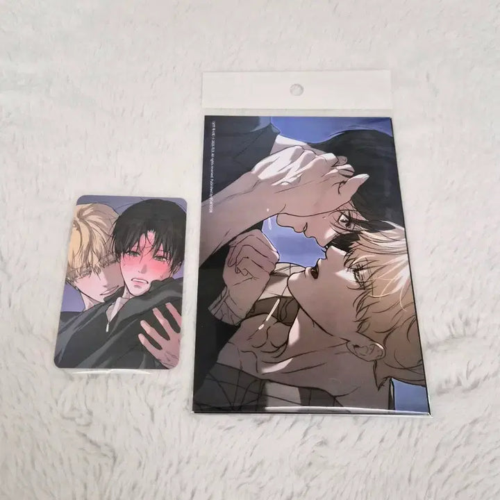 [BUNJANG] Cafe Le Bom Romantic Apocalypse Photocard / 카페레봄 낭만묵시록 특전 포토카드,인화사진.살롱 드 르봉