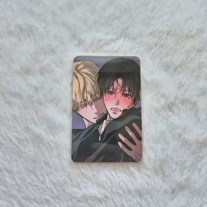 [BUNJANG] Cafe Le Bom Romantic Apocalypse Photocard / 카페레봄 낭만묵시록 특전 포토카드,인화사진.살롱 드 르봉