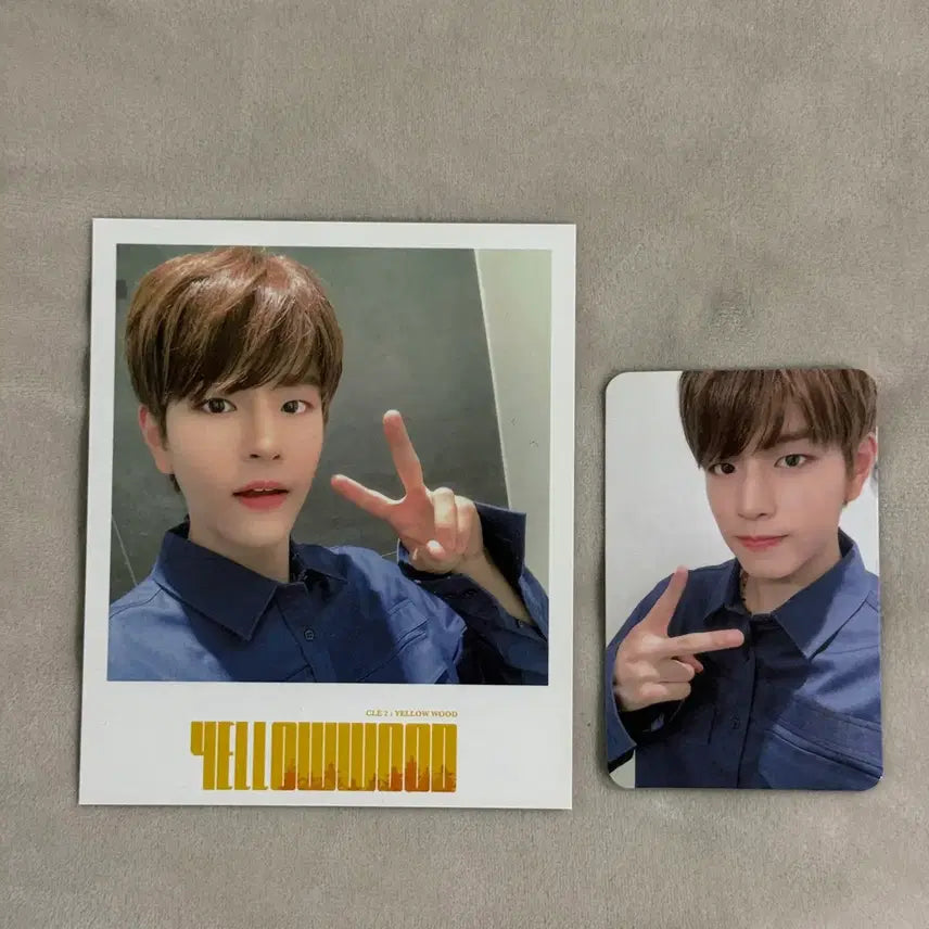 [BUNJANG] Stray Kids Seungmin Side Effects Taiwan Photocard, Fake Polaroid, and Album Bundle Set / 스트레이키즈 승민 부작용 대만 포카 + 짭폴라 + 앨범 일괄