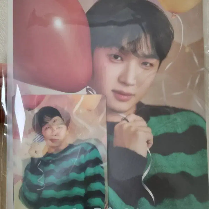 [BUNJANG] Lim Hyunsik Violet Photokits / 임현식 비올라잇 포토키트