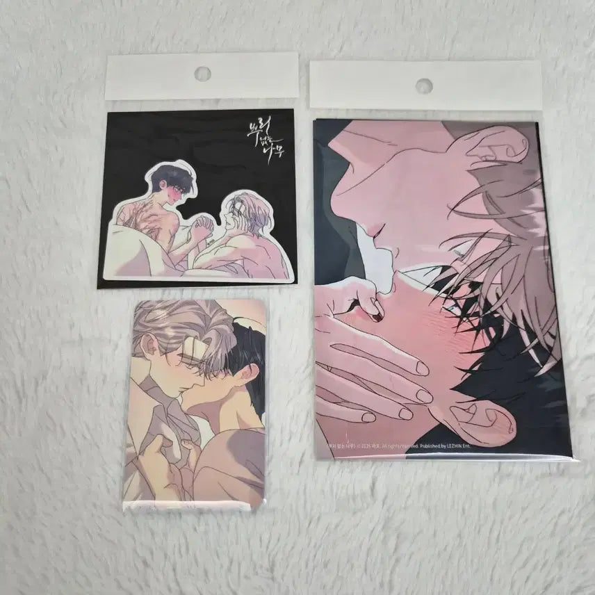 [BUNJANG] Cafe Le Bom Salon de Bom Rootless Tree POB Photocard / 카페 레봄 살롱드르봉 뿌없나 스티커,인화사진,특전포카.뿌리없는나무