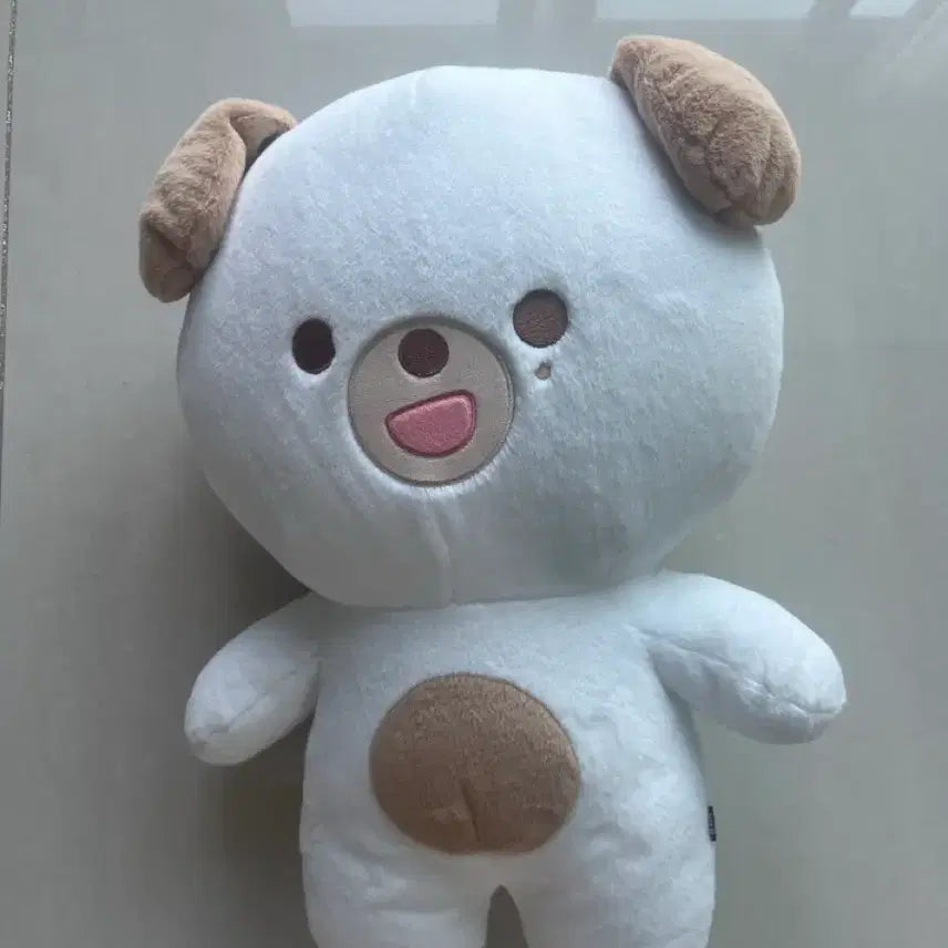 [BUNJANG] Day6 Giant Petit Merz Don Plush / 데이식스 자이언트 쁘띠멀즈 돈
