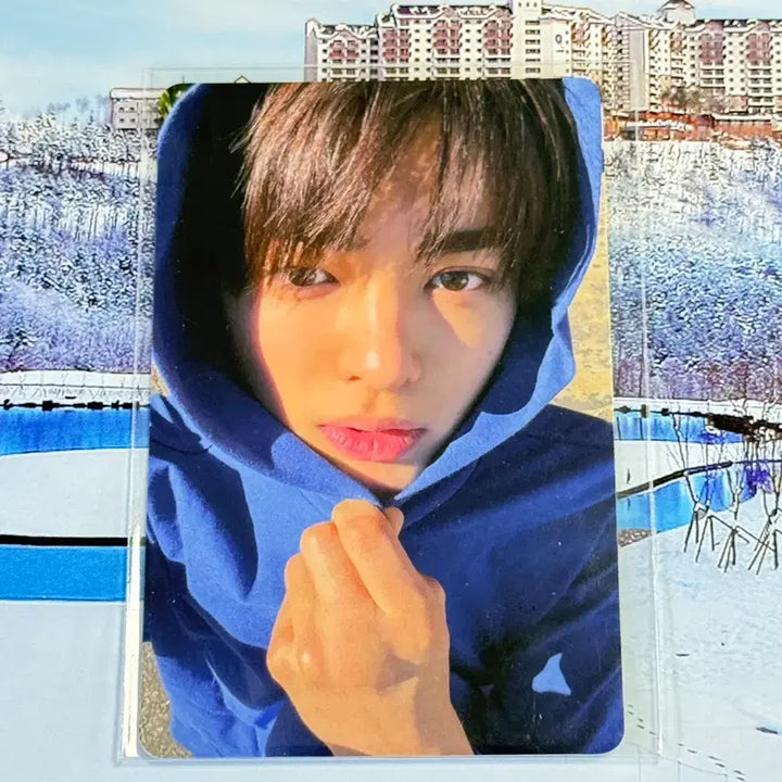 [BUNJANG] Verivery Dongheon Curtis Photocard / 건호 커르티스 포카