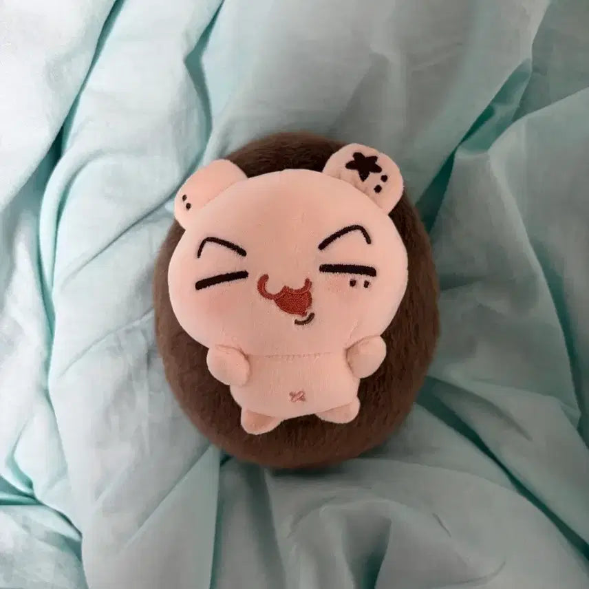 [BUNJANG] ENHYPEN Jay Plush Doll Jjongmongchi / 엔하이픈 제이 인형 쫑몽치