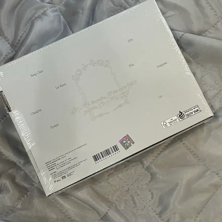 [BUNJANG] Stray Kids 6th Generation Kit / 스테이 6기 키트 양도합니다