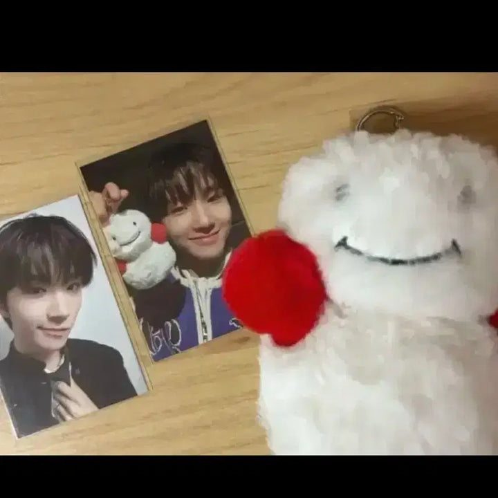 [BUNJANG] BOYNEXTDOOR Woonghee 1st Gen Fanclub Doll Photocard / 보이넥스트도어 보넥도 쁘넥도 1기 운아기 운학 인형 포카