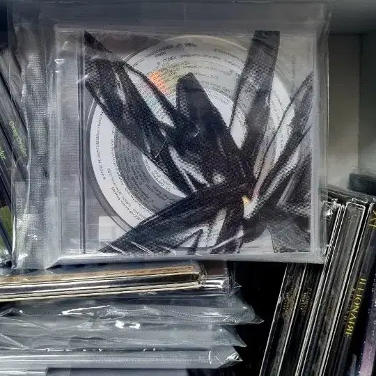 [BUNJANG] Ocasio ANTIVANDALISM Sealed Album / 오카시 - ANTIVANDALISM 미개봉