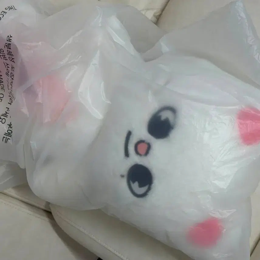 [BUNJANG] Stray Kids Teddy Bear / 스키즈 테디베어