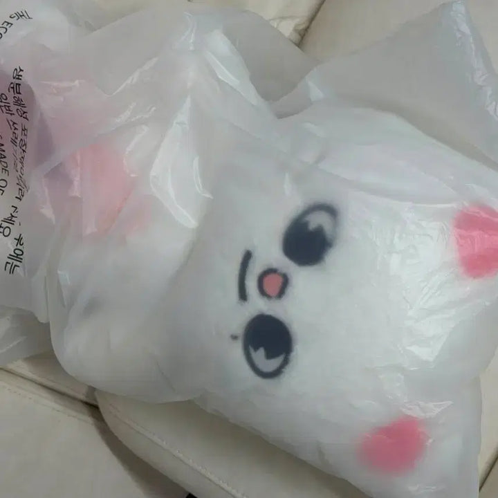 [BUNJANG] Stray Kids Teddy Bear / 스키즈 테디베어