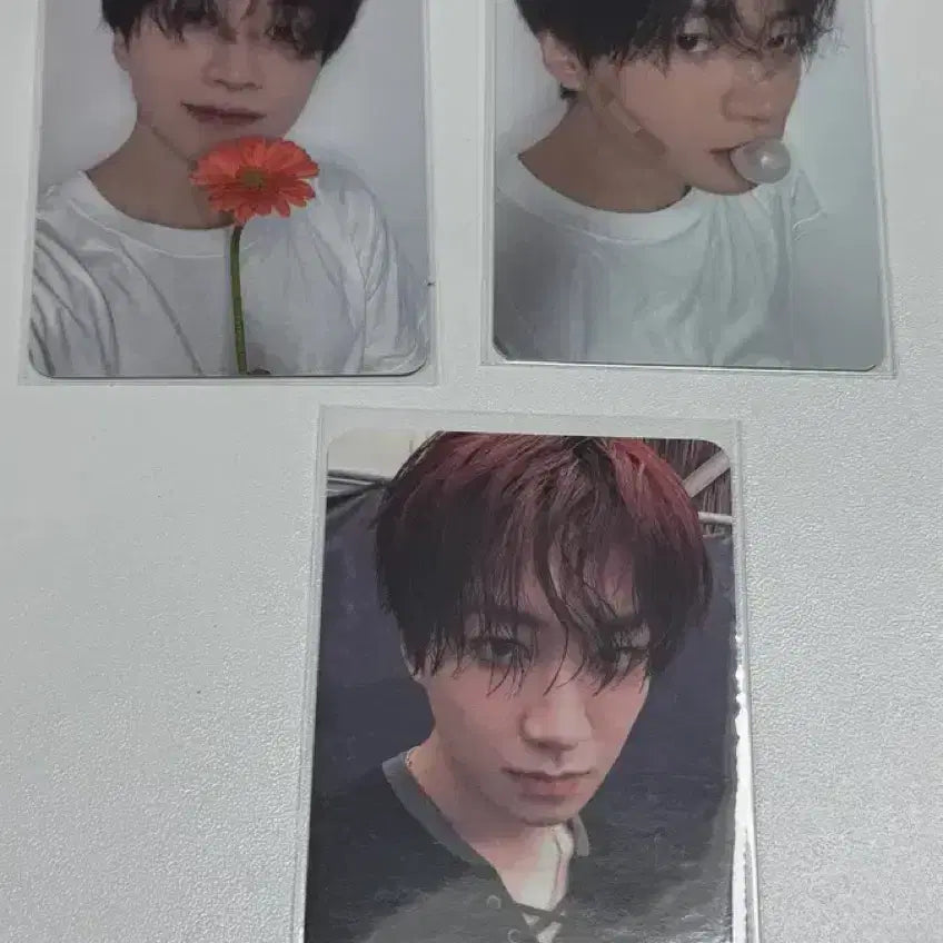 [BUNJANG] Modyssey Sun Hunghui Photocard / 모디세이 modyssey 포카 포토카드 쑨헝위